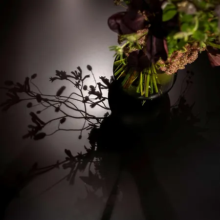 Hotel Western Premier Le Masq