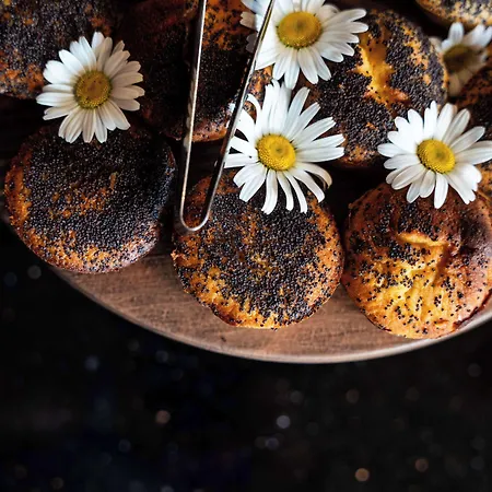 Western Premier Le Masq La Rochelle