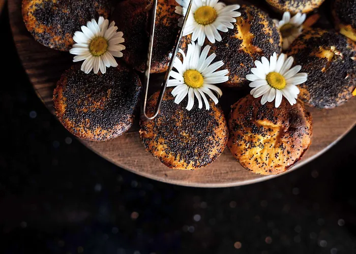 Western Premier Le Masq La Rochelle (Charente-Maritime)